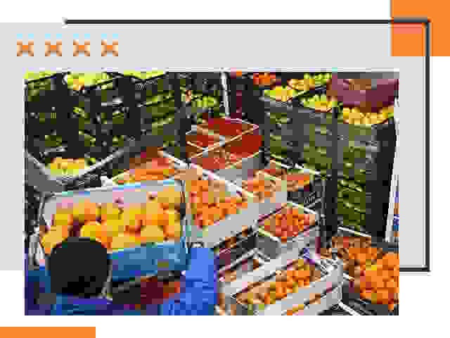 Перевозка скоропортящихся продуктов в Калининграде